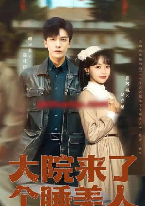 大院来了个睡美人（68集版+100集版）胡家豪＆龚芳妮-搜外项目网