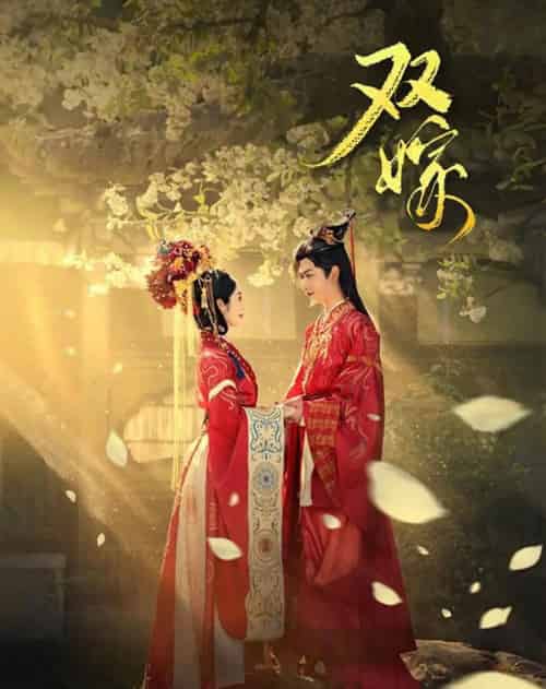 双嫁(60集全)戴琪轩&张正越-搜外项目网