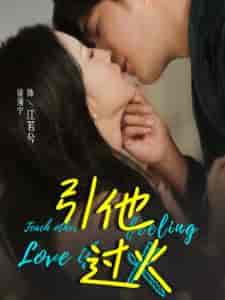 引他过火（40集全）-搜外项目网