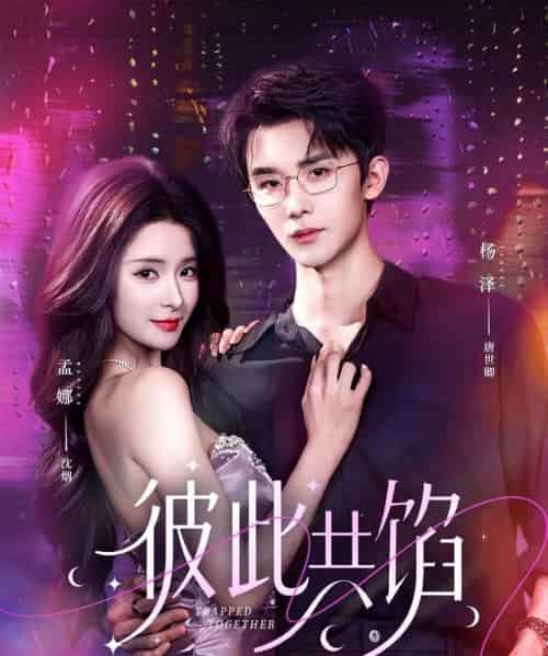 彼此共馅（63集全）杨泽＆孟娜-搜外项目网