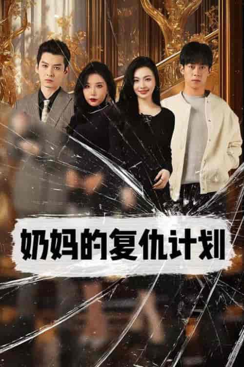 奶妈的复仇计划（99集全）张璇-搜外项目网