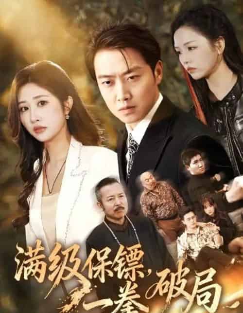 满级保镖,一拳破局(60集全)汤彦俐&任志鹏-搜外项目网