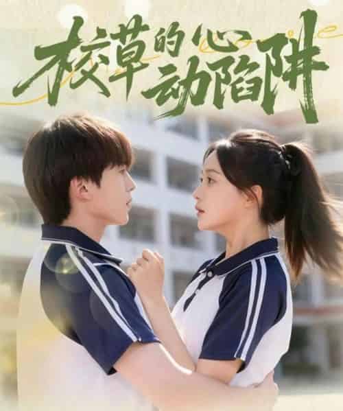 校草的心动陷阱（60集全）许丹＆夏侯懿涵-搜外项目网