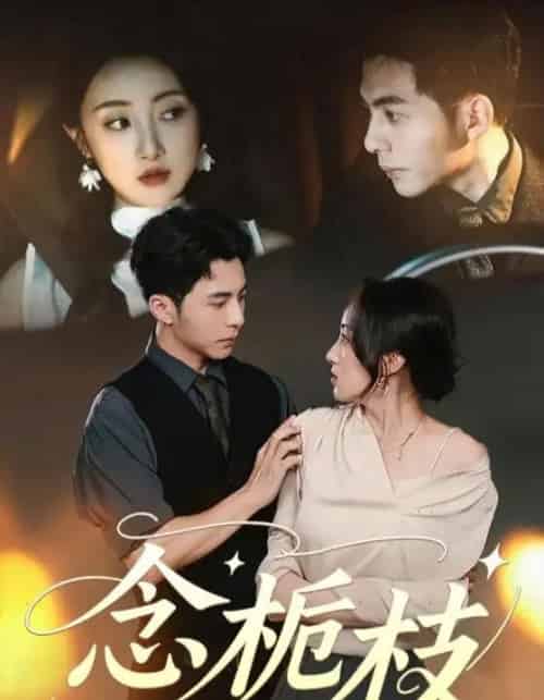 念栀枝（81集）李可乐＆海依凡-搜外项目网