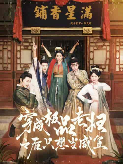 穿成极品老妇之后只想当咸鱼（98集全）张添景＆张楚萱-搜外项目网