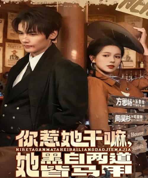 你惹她干嘛，她黑白两道皆马甲（82集全）周昊衫＆方思畅-搜外项目网