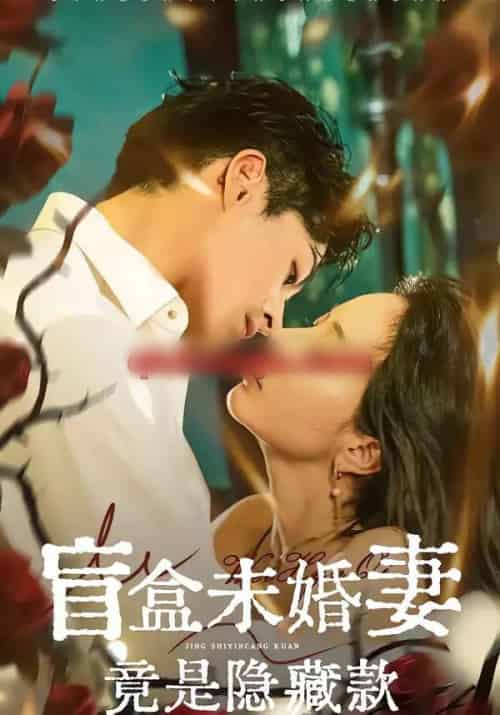 盲盒未婚妻竟是隐藏款（75集全）陈钰洁＆李芮峤＆杜昱泽-搜外项目网