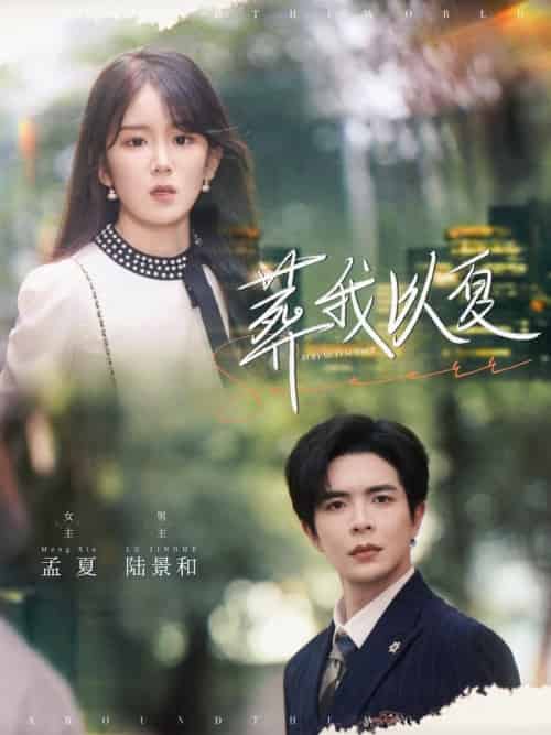 葬我以夏(73集全)温宇&冯易鑫-搜外项目网