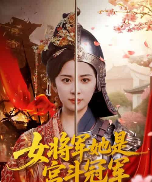 女将军她是宫斗冠军（98集全）杨洛仟＆刘六六-搜外项目网