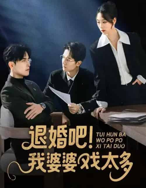 退婚吧!我婆婆戏太多(60集全)倪浩森&麦童-搜外项目网