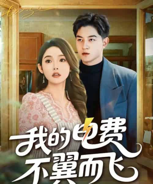 我的电费不翼而飞（60集全）贺龙天＆杨莯-搜外项目网