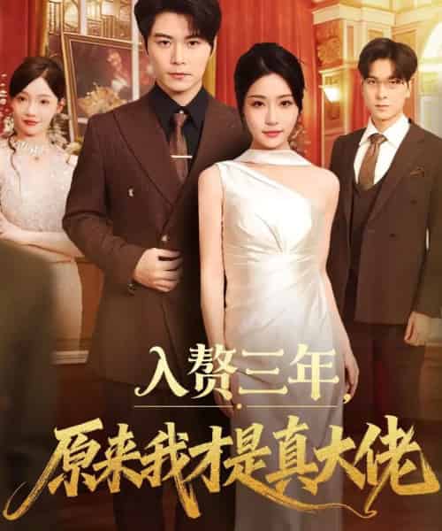 入赘三年，原来我才是真大佬（75集全）刘帅＆瑞子-搜外项目网
