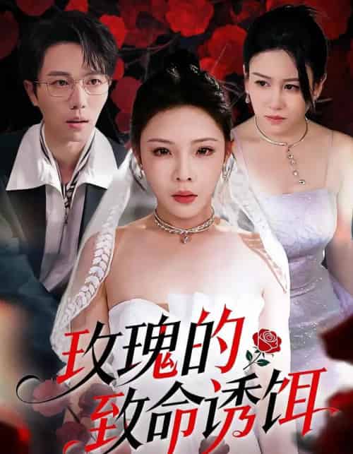玫瑰的致命诱饵(63集)张琴&高凯-搜外项目网