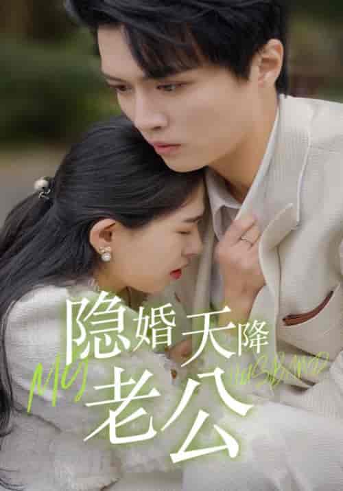 隐婚天降老公（85集全）陆赫霆＆苏贝-搜外项目网