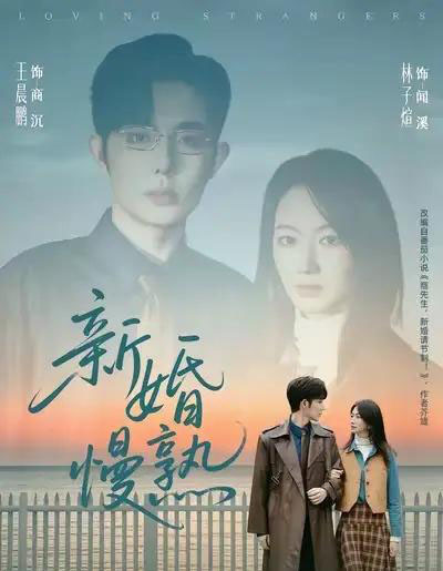 新婚慢熟(105集全)王晨鹏&林子煊-搜外项目网