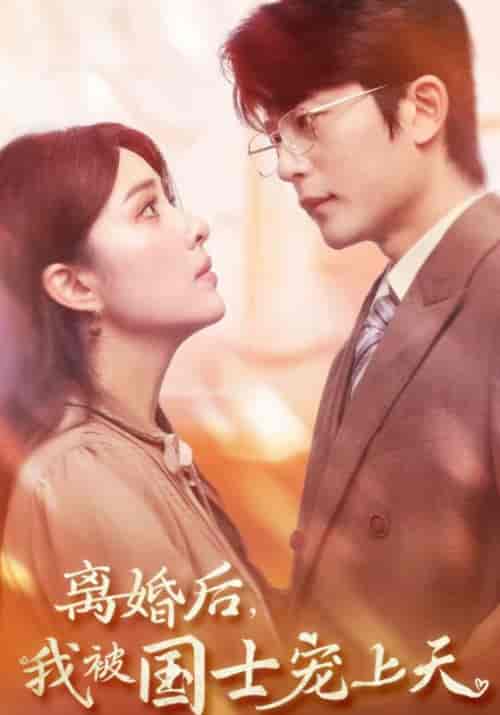 离婚后我被国士宠上天（64集全）于伦豪＆阳蕾-搜外项目网