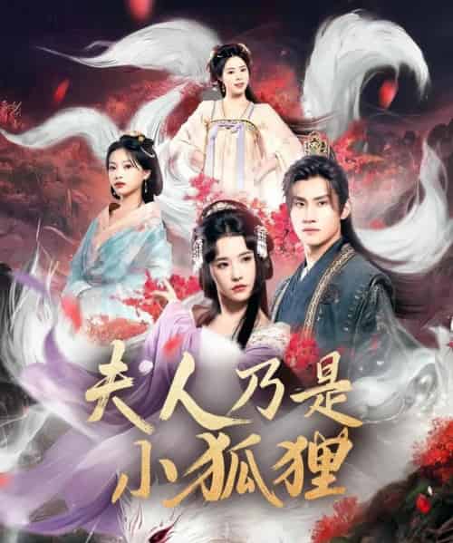 狐狸夫人今天掉马了吗＆夫人乃是小狐狸（62集）车芊云＆陈品延-搜外项目网