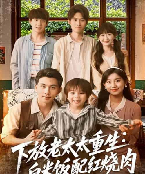 下放老太太重生白米饭配红烧肉（88集）李可乐＆王如玮-搜外项目网