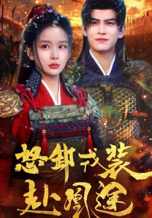 怒卸戎装赴凰途（70集）宗沐一＆姜熙饶-搜外项目网