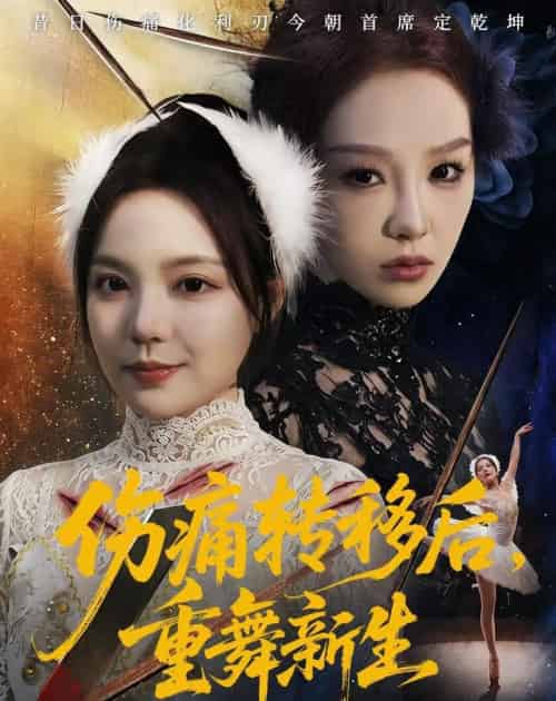 伤痛转移后，重舞新生（50集全）王若妍＆周恬羽-搜外项目网