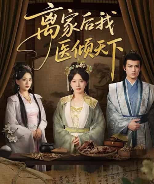 离家后我医倾天下（101集）初五-搜外项目网