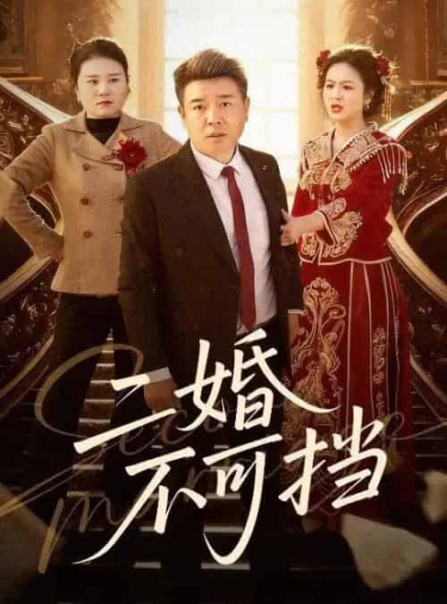 二婚不可挡(36集全)任志宏&杨一-搜外项目网