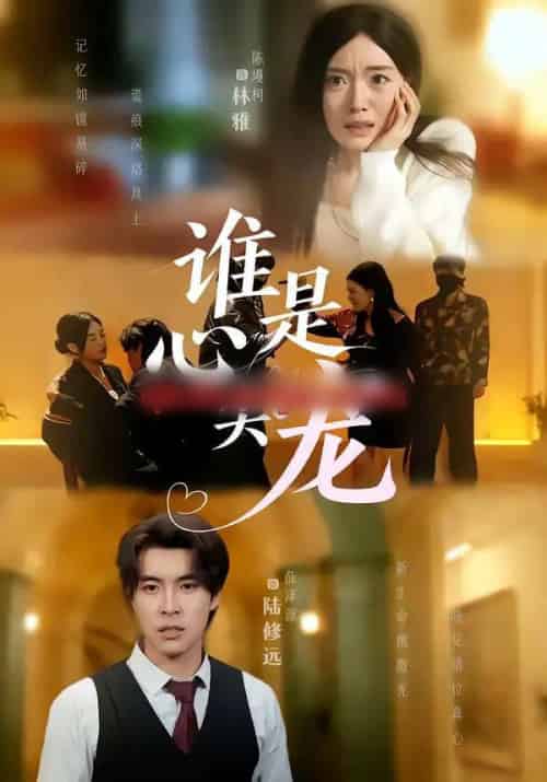 谁是心尖宠（60集全）薛泽源＆陈墁柯-搜外项目网