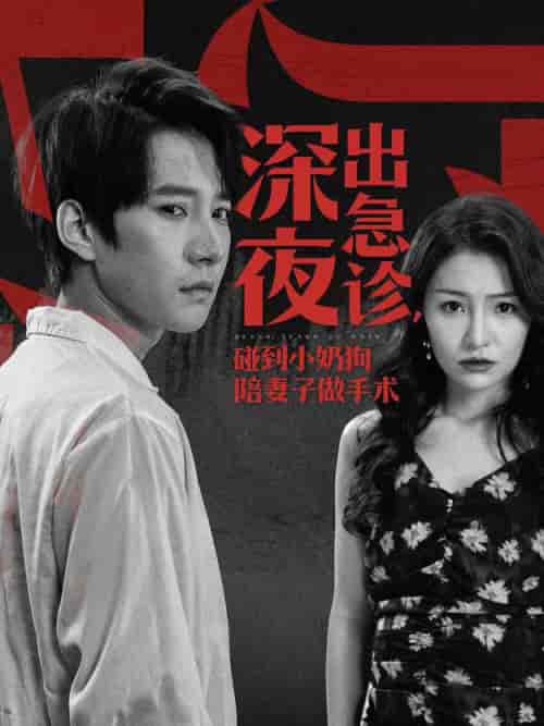 深夜出急诊碰到小奶狗陪妻子做手术（50集全）白羽-搜外项目网