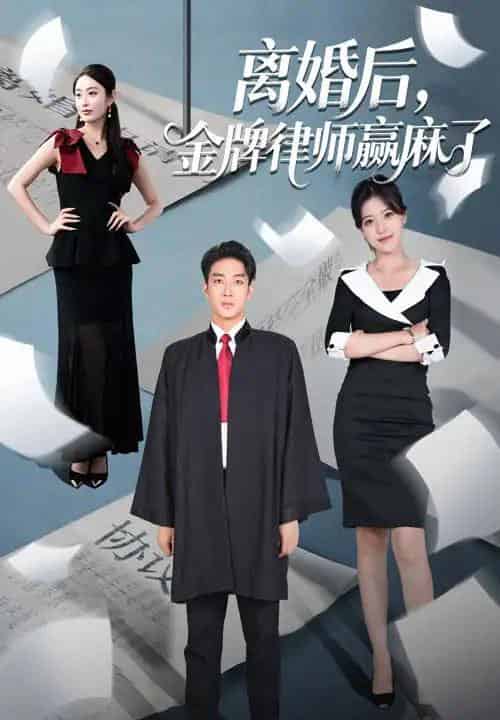 离婚后金牌律师赢麻了（51集）罗东旭＆生馨月-搜外项目网