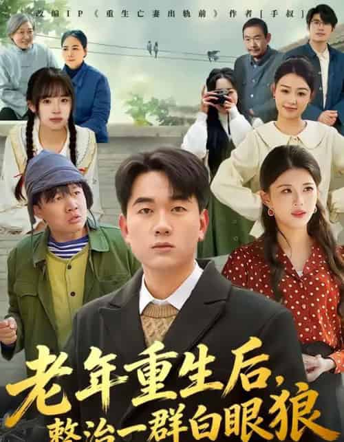 老年重生后，整治一群白眼狼（82集全）高赞翔＆胡蝶-搜外项目网