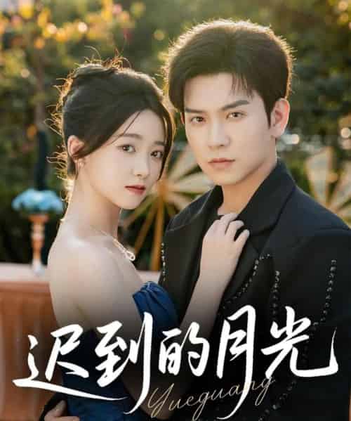 迟到的月光（80集全）石佳＆朱家妮-搜外项目网