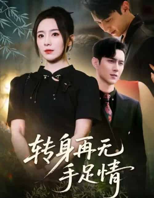 转身再无手足情(71集)希尔力&周弋茜-搜外项目网