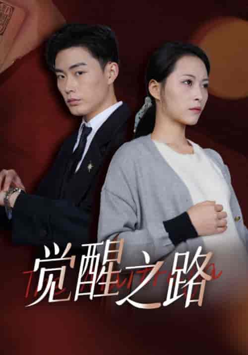 觉醒之路（33集全）颜良＆谭花-搜外项目网
