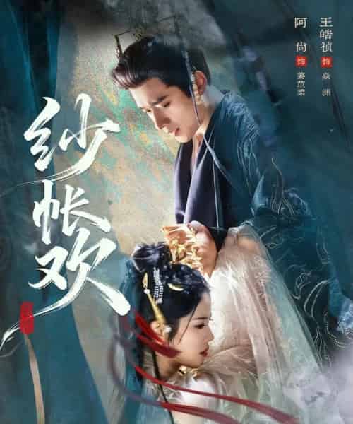 纱帐欢（81集全）王皓祯＆阿尚（魏江）-搜外项目网