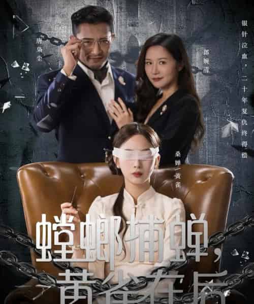 螳螂捕蝉，黄雀在后（65集全）彭千玲＆郑天阳-搜外项目网