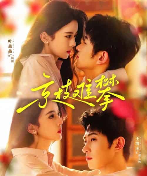 京枝难攀(80集)王凯沐&六金yE(叶鑫鑫)-搜外项目网