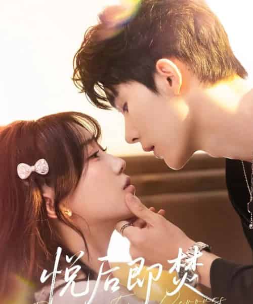 悦后即焚(65集全)杨泽&苏语桐-搜外项目网