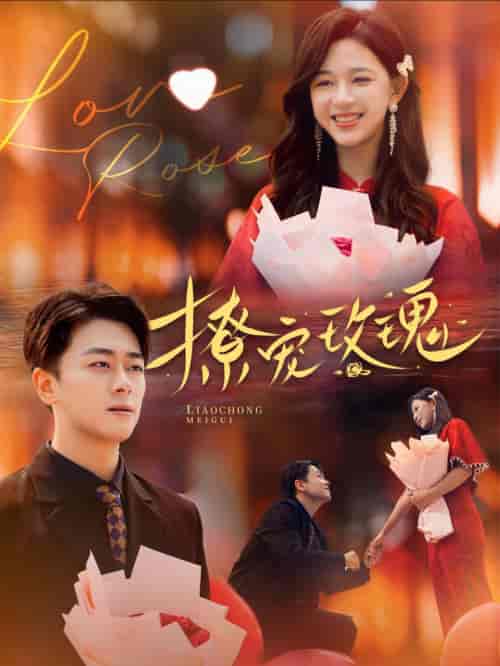 撩宠玫瑰（99集全）韩录锦-搜外项目网