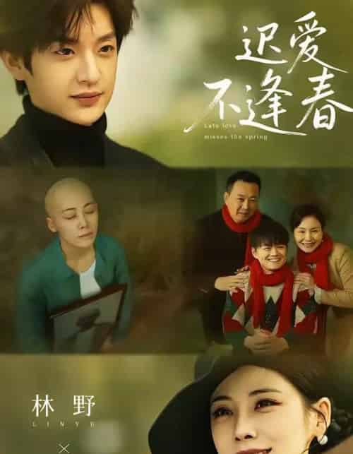 迟爱不逢春(62集全)魏澊&钟小淇-搜外项目网