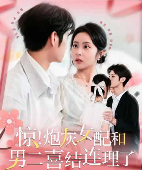 惊!炮灰女配和男二喜结连理了(91集全)李亦丞&姚慧-搜外项目网