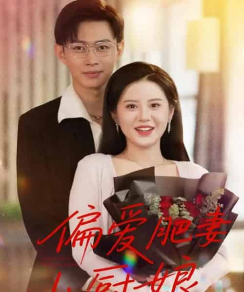 偏爱肥妻小厨娘 (100集)-搜外项目网