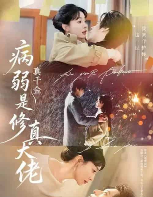 病弱真千金是修真大佬(81集全)李芮峤&秦伟钊-搜外项目网