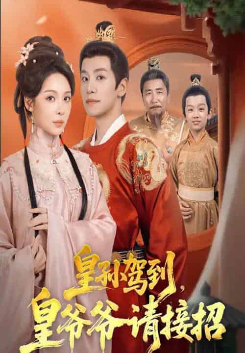 皇孙驾到皇爷爷请接招(71集全)盛以婕&郑纪元-搜外项目网