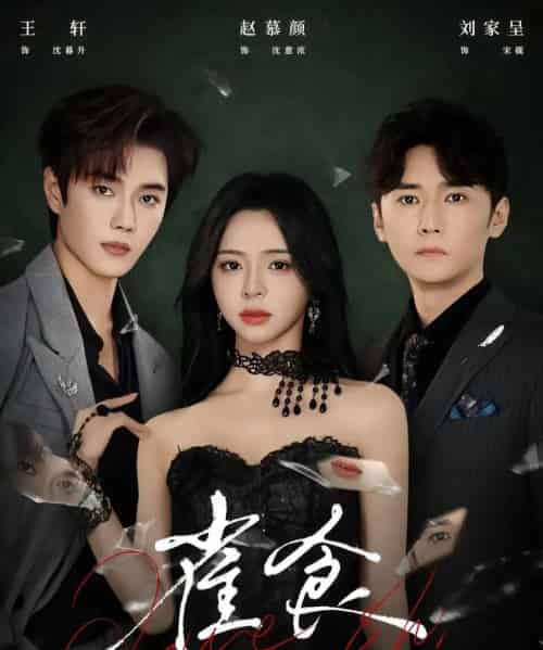 雀食（83集全）王轩＆赵慕颜＆刘家呈-搜外项目网