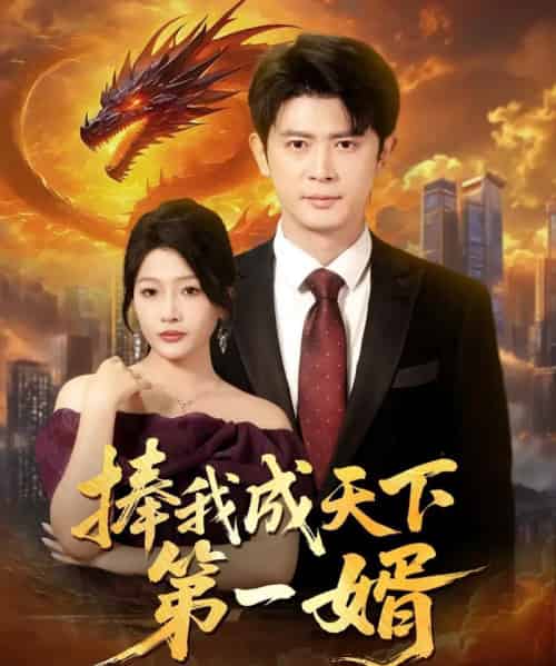 捧我成天下第一婿（80集）王昭＆杨添羽＆一棉＆罗思琪-搜外项目网