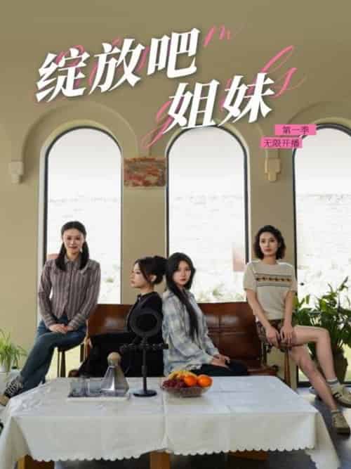 绽放吧姐妹之无限开播（16集全）徐漫宁-搜外项目网