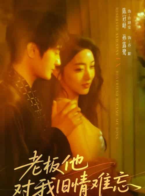 老板他对我旧情难忘（76集全）陈冠峄＆孙露鹭-搜外项目网