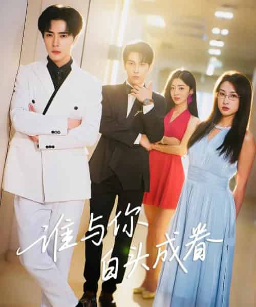 谁与你白头成眷（80集）王梓亦＆崔十一-搜外项目网