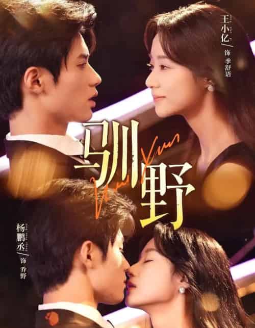 驯野（77集）杨鹏丞＆王小亿＆张旋-搜外项目网