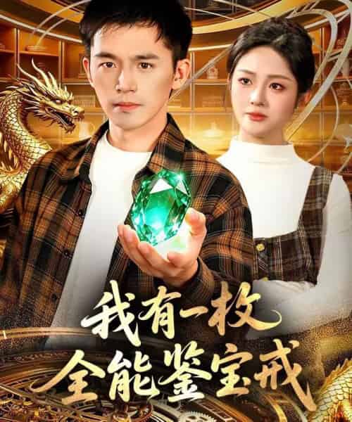 我有一枚全能鉴宝戒（131集全）杨力＆黎沐清-搜外项目网